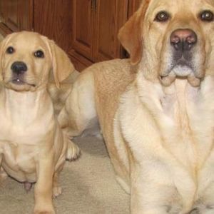 Meet your Posher, Tamara